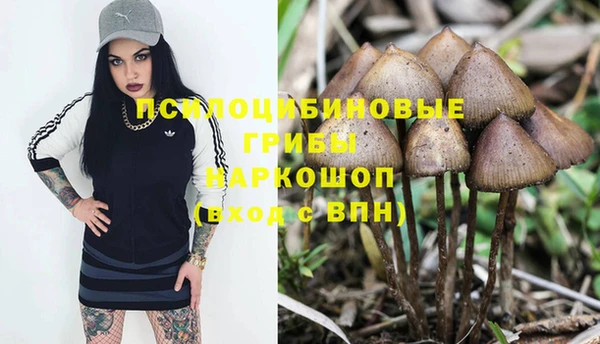 ГАЛЛЮЦИНОГЕННЫЕ ГРИБЫ Арсеньев
