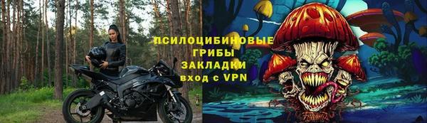 спайс Алексин