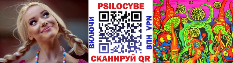 Псилоцибиновые грибы Psilocybine cubensis  Нурлат 