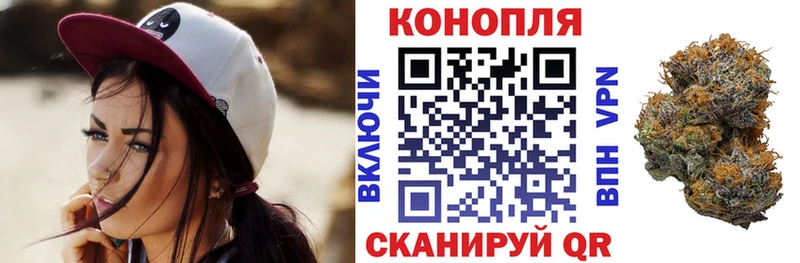 ОМГ ОМГ ТОР  где найти   Нурлат  Бошки Шишки сатива 